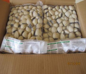 Frozen Whole Boiled Clam