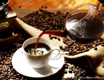 Giá cà phê trong nước ngày 24/10/2015 giảm mạnh 600 ngàn đồng/tấn 4